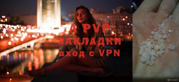прущие грибы Верхний Тагил