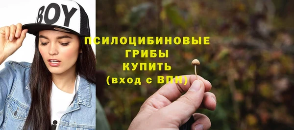 мяу мяу мука Верея