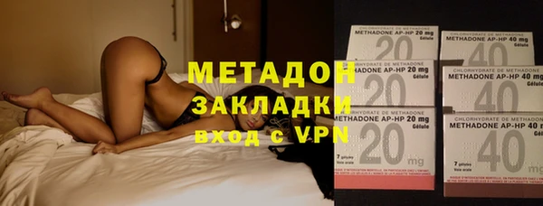 прущие грибы Верхний Тагил
