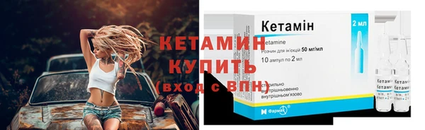 прущие грибы Верхний Тагил