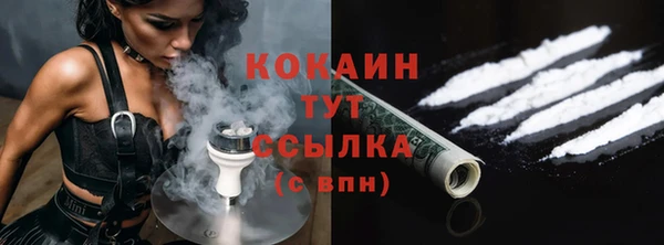 прущие грибы Верхний Тагил