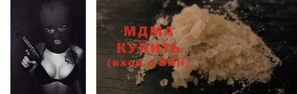 прущие грибы Верхний Тагил
