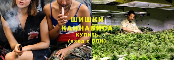 прущие грибы Верхний Тагил