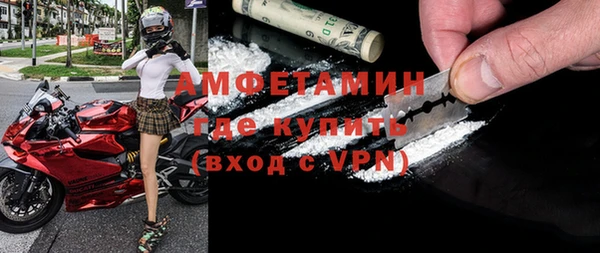 прущие грибы Верхний Тагил
