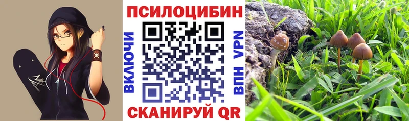 Купить где  Малоярославец  Галлюциногенные грибы ЛСД 